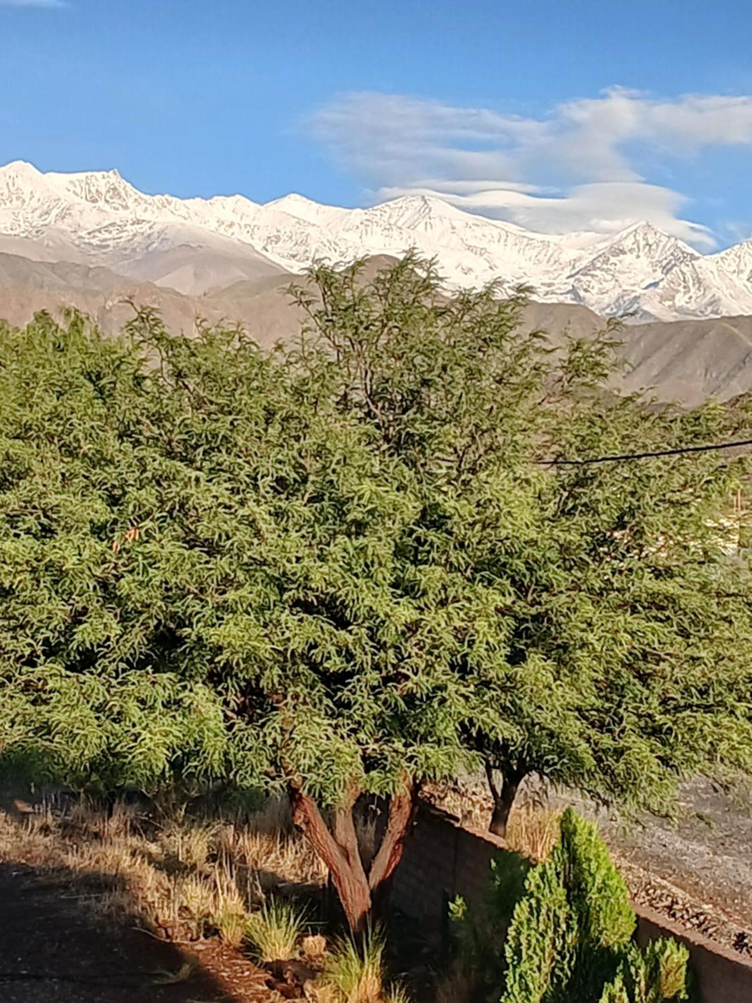 Cabanas El Fuerte กาชิ ภายนอก รูปภาพ